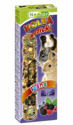 Nestor Dupla Rúd Rágcsálónak És Nyúlnak Erdei Gyümölcs 115gr - all4pets