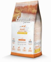 Evoque Dog Adult Medium & Large Chicken & Turkey 12 kg