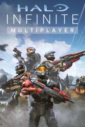 Microsoft Halo Infinite (PC)