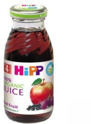 HiPP Suc de Hipp, fructe roșii, 200 ml, de la 4 luni, 9062300106234