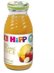 HiPP Juice, Multivitamine, 200 ml, Pentru bebeluși peste 4 luni, 9062300138204