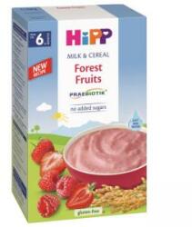 HiPP Terci de lapte cu fructe de padure HIPP - Probiotic, 6+ luni, 250 g