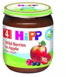 HiPP Piure organic Hipp, fructe de padure, mere, 125g, 9062300140696