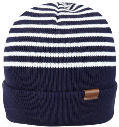 Kangol Caciula Kangol Marl Stripe Bleumarin