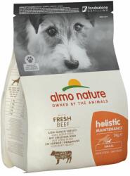Almo Nature 3x2 kg Almo Nature Holistic Small Adult kutyatáp - Marha & rizs