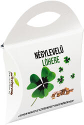  Négylevelű lóhere magok díszdobozban