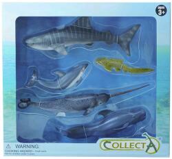 CollectA Set 5 figurine lumea acvatica collecta (COL89671WB) - bravoshop