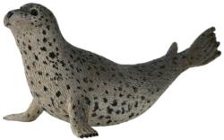 CollectA Figurina foca pestrita collecta (COL88658L) - bravoshop