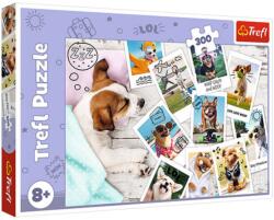 Trefl Holiday Pictures 300 db-os (23003)