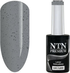 NTN Premium UV/LED 197# (kifutó szín)