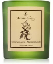 Vila Hermanos Aromatology Cinnamon and Apple lumânare parfumată 200 g
