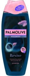 Palmolive Gel de duș - Palmolive Memories of Nature Wellness Revive 500 ml