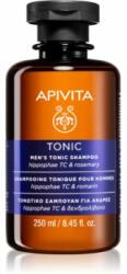 APIVITA Men's Care HippophaeTC & Rosemary Șampon împotriva căderii părului 250 ml