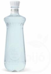 Vis Vitalis Szénsavmentes ásványvíz 0,6l