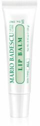 Mario Badescu Lip Balm balsam de buze ultra-hidratant 10 g