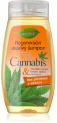 Bione Cosmetics Cannabis sampon pentru regenerare 260 ml