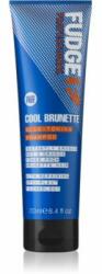 Fudge Care Cool Brunette șampon pentru par saten spre inchis 250 ml