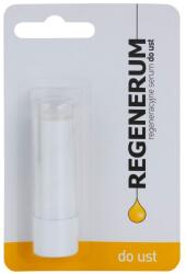 Regenerum Lip Care ser regenerator de buze SPF 15 5 g