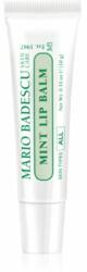 Mario Badescu Mint Lip Balm balsam de buze ultra nutritiv 10 g