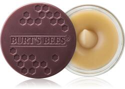 Burt's Bees Lip Scrub Exfoliant pentru buze cu efect de nutritiv 7.08 g