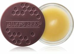 Burt's Bees Lip Treatment tratament de noapte intensiv de buze 7.08 g