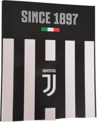  Juventus FC gyűrűs dosszié, 1897 (8011410391208_sima)