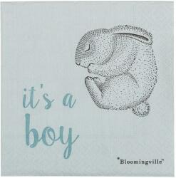 Bloomingville Servetele din hartie Bloomingville - It's a boy, albastre (BL1003) Set pentru masa bebelusi