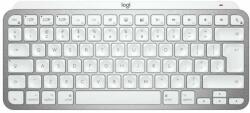 Logitech MX Keys Mini For Mac Minimalist US (920-010526)
