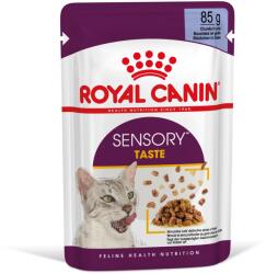 Royal Canin Sensory Taste - Hrană umedă bucăți de carne în jeleu 12 x 85 g