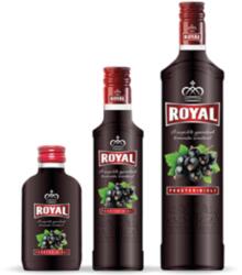 Royal Vodka feketeribizli ízesítésű vodka 0, 1l 30%