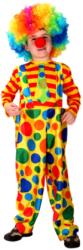 Costum clown pentru copii, salopeta cu dungi colorate si alte accesorii, multicolor (NBN000G149)