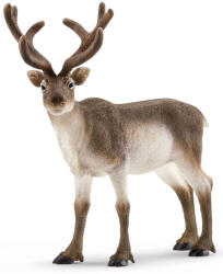 Schleich Figurina Schleich Wild Life Europe - Cerb nordic (14837-01396) Figurina