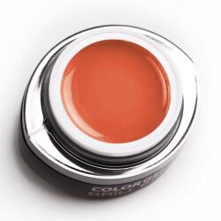 Brillbird Brush&Go színes zselé - GO 126 - 4, 5ml TF