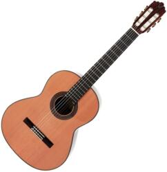Prodipe - Soloist 900 klasszikus gitár ajándék félkemény tok (3760010256046)