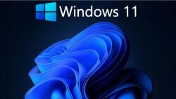 Microsoft Windows 11 Pro (HAV-00062)