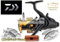 Daiwa GS BR LT 3000 (10144-300)