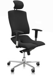 Asana Asana Architect ergonomikus irodai szék Kárpit színe: Atlantic Fekete 60999