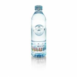 fromin Baby Water 1l mentes jégvíz PET palackban - vizbolt