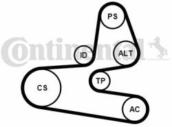 Continental Ctam Set curea transmisie cu caneluri CONTINENTAL CTAM 6PK1564K1