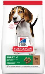 Hill's Science Plan Puppy 2x14 kg