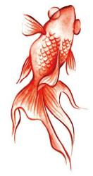Felragasztóos tetoválás piros hal (MET009)