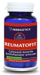 Herbagetica Reumatofit 30 cps