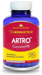 Herbagetica Artro Curcumin 95 - 120 cps