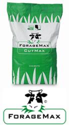 Dlf Trifolium GrazeMax Hot & Dry - Pentru pasunat