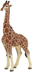 Papo Figurina Papo Wild Animal Kingdom - Girafa mascul (50149) Figurina