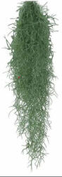  Tillandsia Usneoides felakasztható csüngõ szakállbromélia, kb. 50 cm hosszú