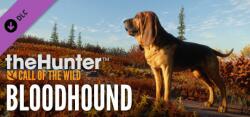 Expansive Worlds theHunter Call of the Wild Bloodhound DLC (PC)