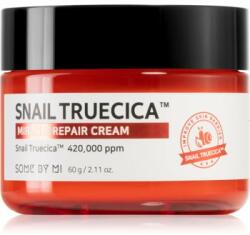 Some By Mi Snail Truecica Miracle Repair crema calmanta si hidratanta 60 g