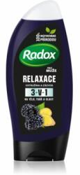 Radox Men Feel Wild tusfürdő gél arcra, testre és hajra Blackberry & Ginger 225 ml