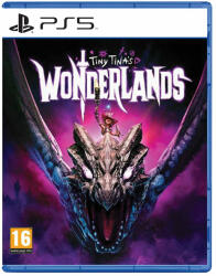 2K Games Tiny Tina's Wonderlands (PS5)